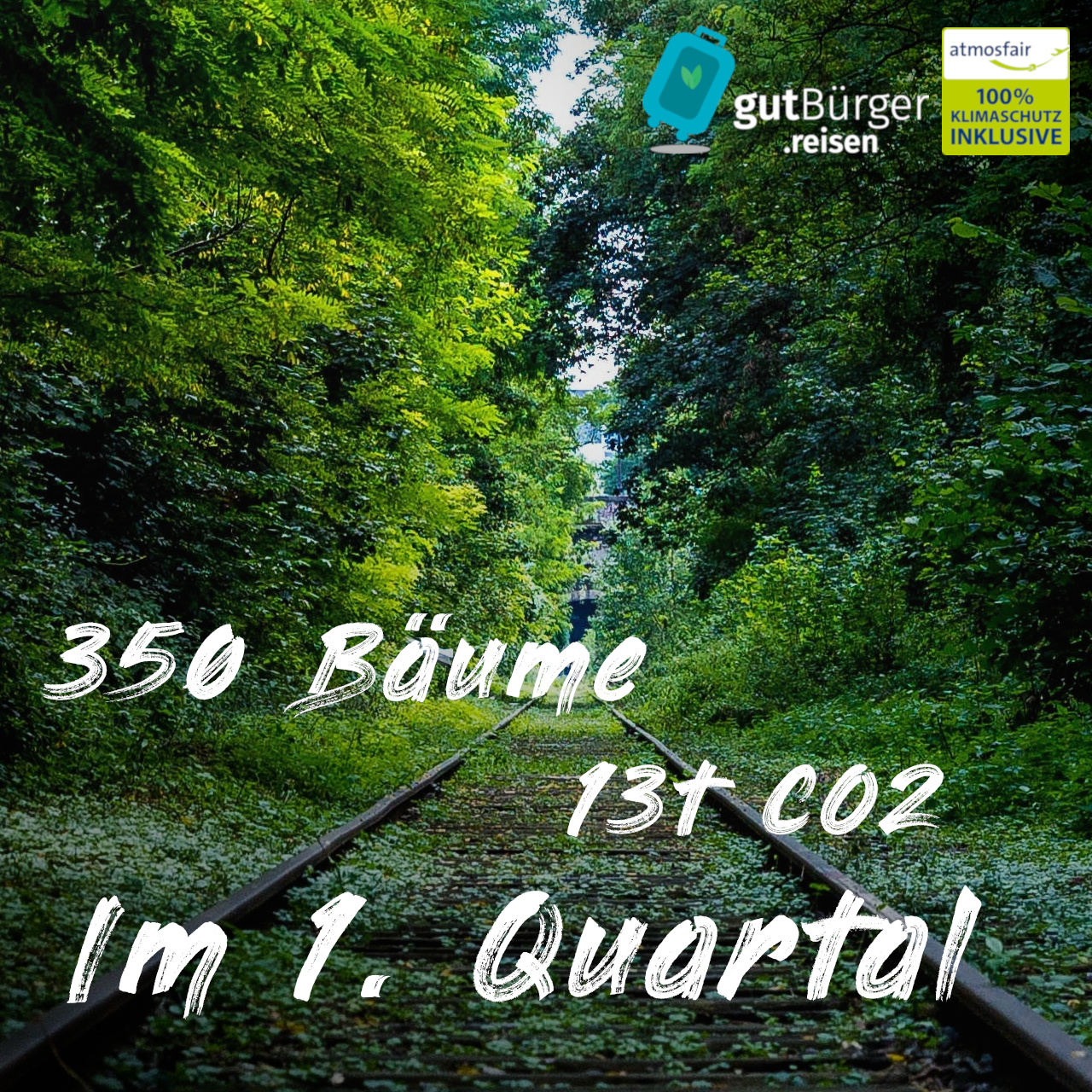 Durch gute Reisen: 350 Bäume, 13t CO2