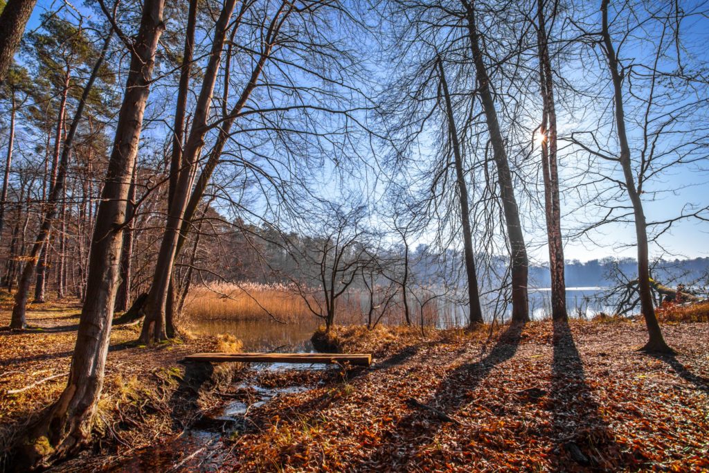 Barnimer Land, Schorfheide, lizensiert bei Adobe Stock