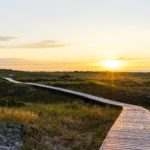 Darss wandern, lizensiert bei Adobe Stock