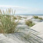 Nordseestrand, lizensiert bei Adobe Stock