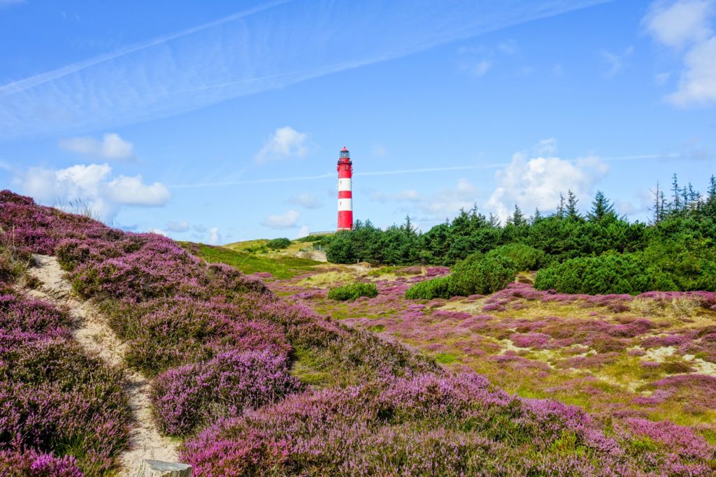 Leuchtturm Amrum, lizensiert bei Adobe Stock