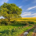 Landschaft Holstein, lizensiert bei Adobe Stock